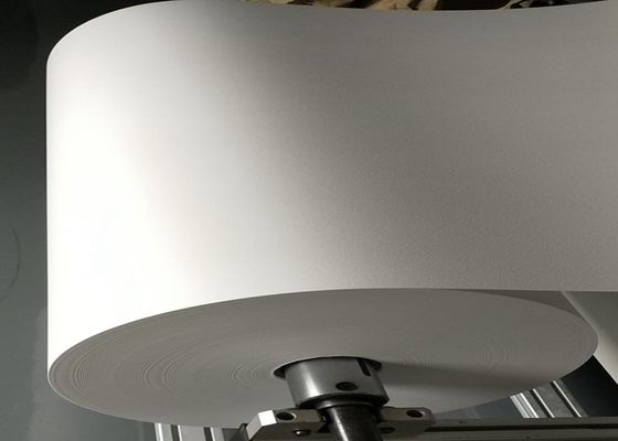 Los cartuchos HEPA de la eliminación del polvo filtro la membrana de la anchura PTFE del papel los 6cm-10cm